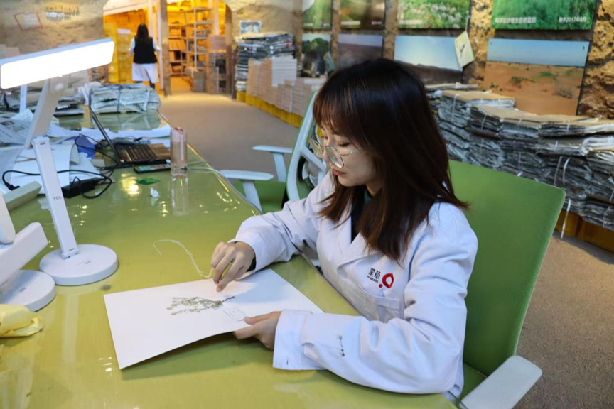 工作中的李倩倩。受访者供图