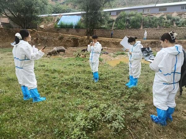 扬州工业职业技术学院学生在陕西清涧黑毛土猪产地进行溯源直播。受访者供图