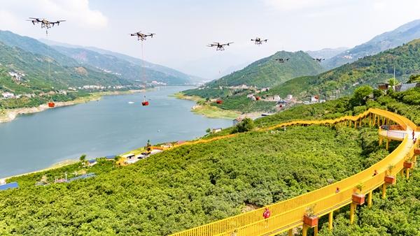 2025年4月27日，在湖北省秭归县归州镇彭家坡村橙园里，无人机组在转运脐橙。本版图片均由秭归县委宣传部提供
