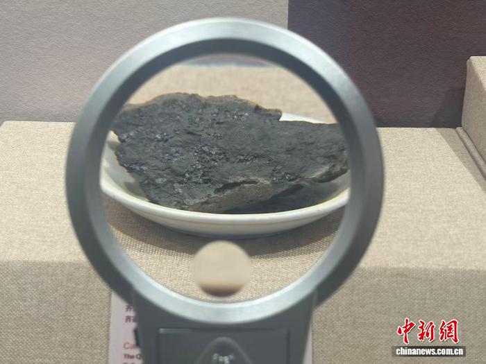 图为广河县齐家文化博物馆馆藏的碳化粟种。(资料图)李娟 摄