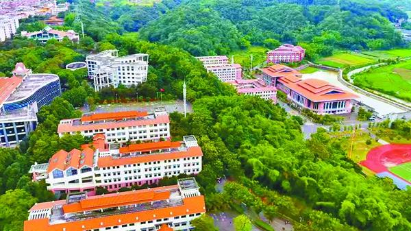被雨林环抱的校园 许俊/摄
