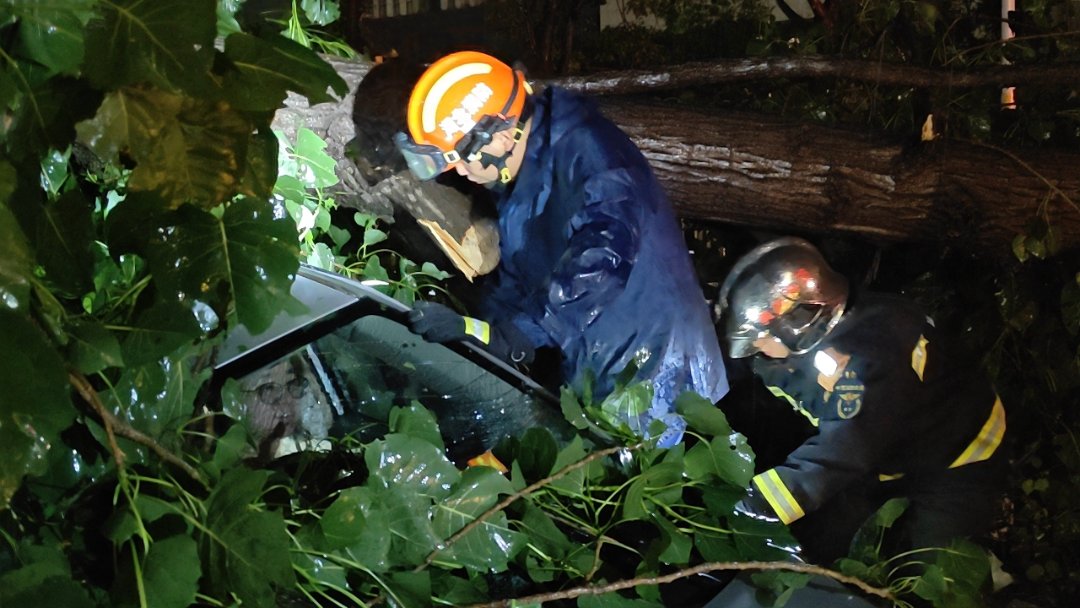 7月7日，消防指战员清除道路倒塌树木，救援树下被压的群众。黄冈市消防救援支队新港大道特勤站供图