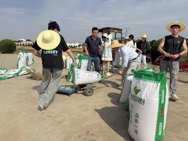 　　竞赛中，指导教师组织学生进行收获后的产量测量。西北农林科技大学供图