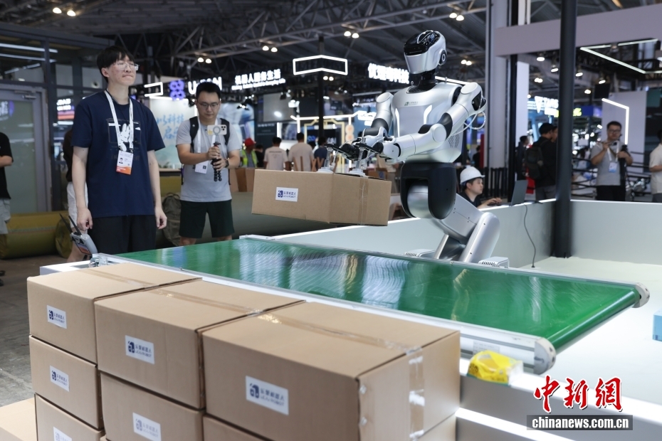 中新社记者 杨郁然 摄