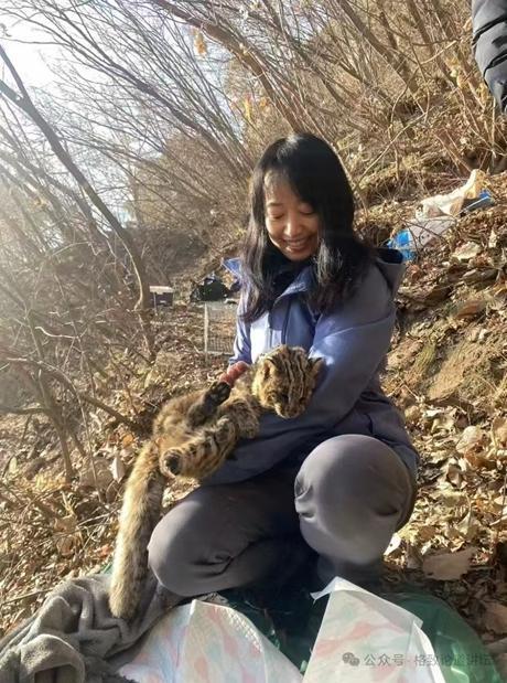 北京山中，罗述金怀抱一只豹猫。受访者供图