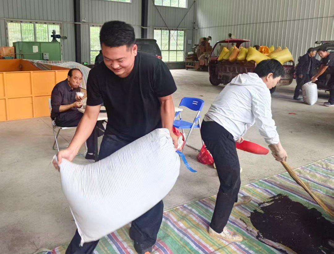 李杨（中）帮助村民搬运制种油菜。汉中市委宣传部供图