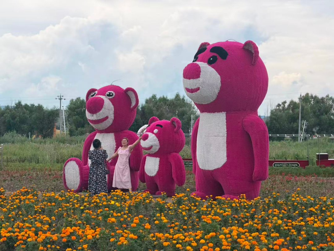8月6日，游客在巴彦敖包生态旅游度假村打卡拍照。中青报·中青网记者 石佳/摄