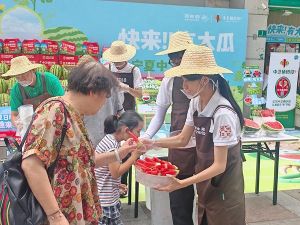 “生存训练”实践团成员黎遵雯在售卖西瓜。浙江师范大学供图
