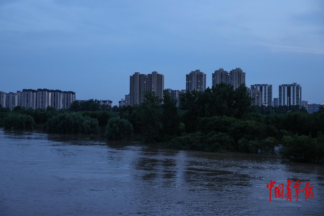 8月16日，河南周口，沙颍河畔，一些植被在水面之下。中青报·中青网记者 曲俊燕/摄