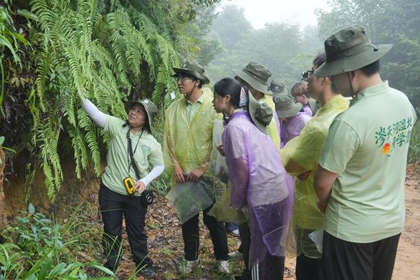 　　中南大学学生在湖南江华涔天河国家湿地公园观察植物。受访者供图