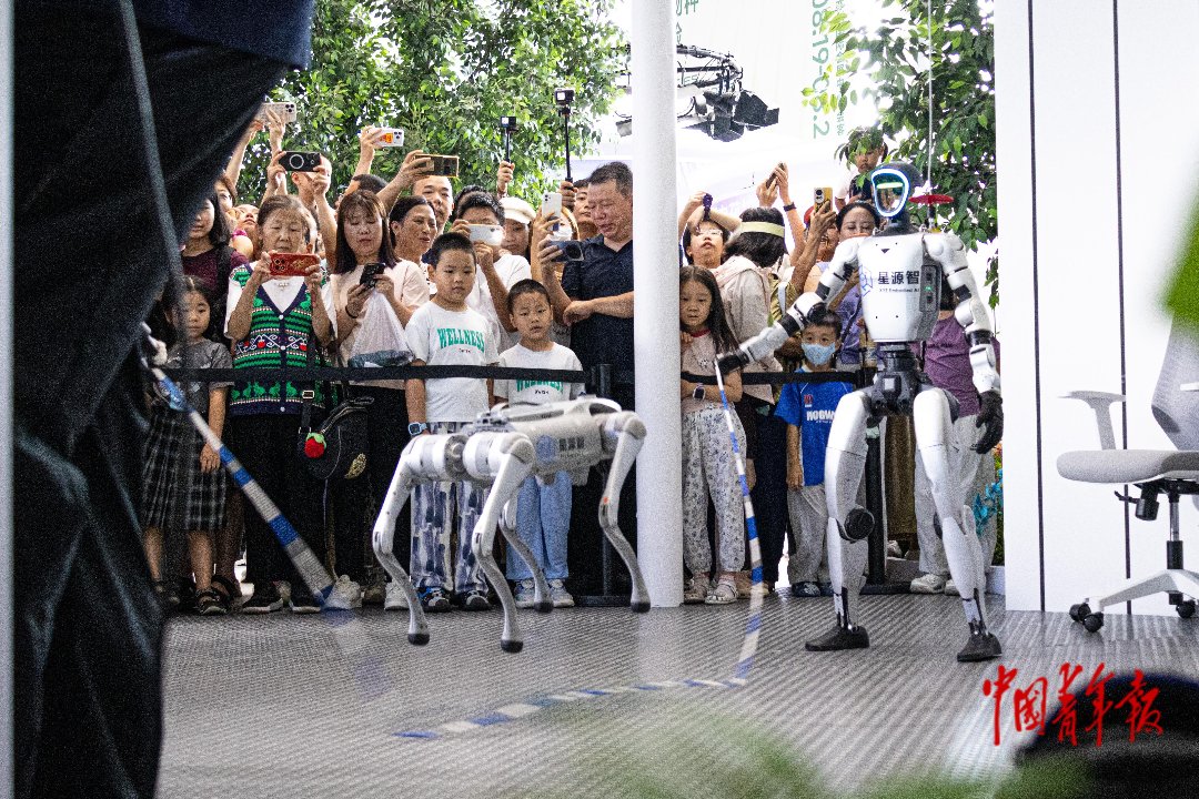 8月22日，北京北人亦创国际会展中心，2026世界机器人大会现场，机器狗带来跳绳表演，两台人形机器人配合挥动跳绳。张旭冉/摄