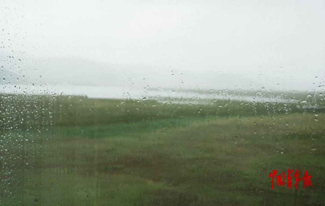 8月22日，青海玉树藏族自治州隆宝国家级自然保护区，雨水打湿了管理站的窗户。湖南大学 谢继康 摄