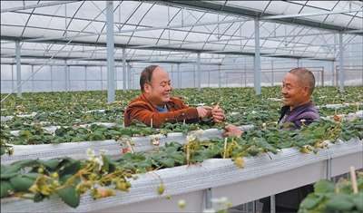 李世瑶（左）为村民讲解草莓种植技术。受访者供图