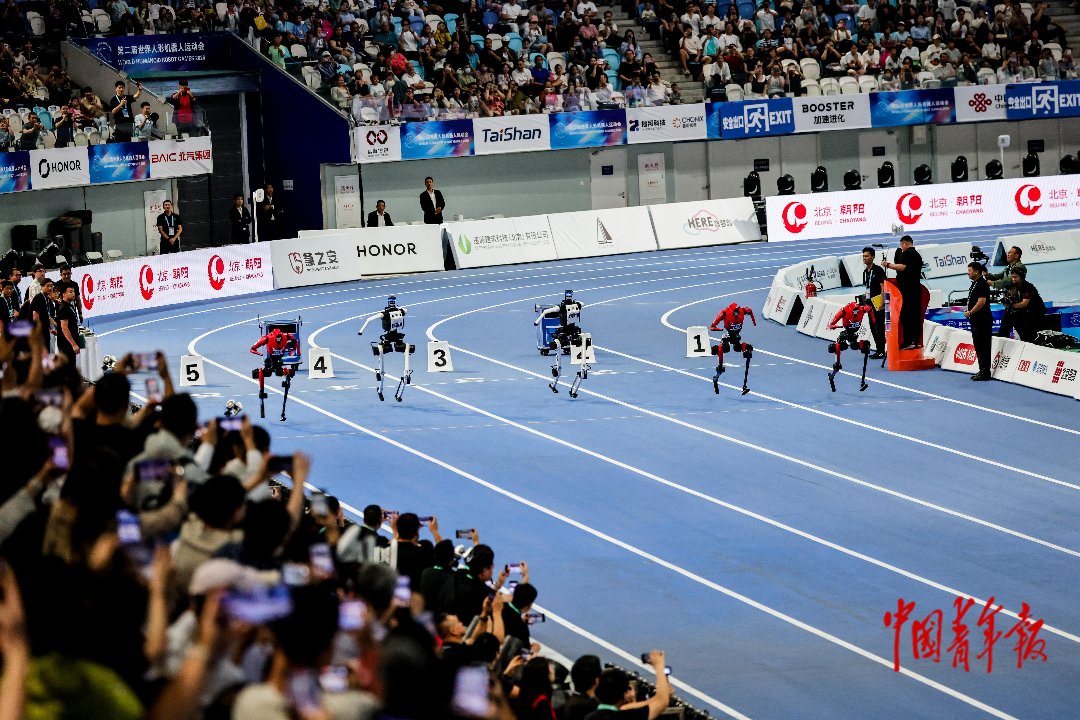 8月26日，北京国家速滑馆，第二届世界人形机器人运动会100米大型组决赛，机器人运动员在起点出发。中青报·中青网记者 陈思阳/摄