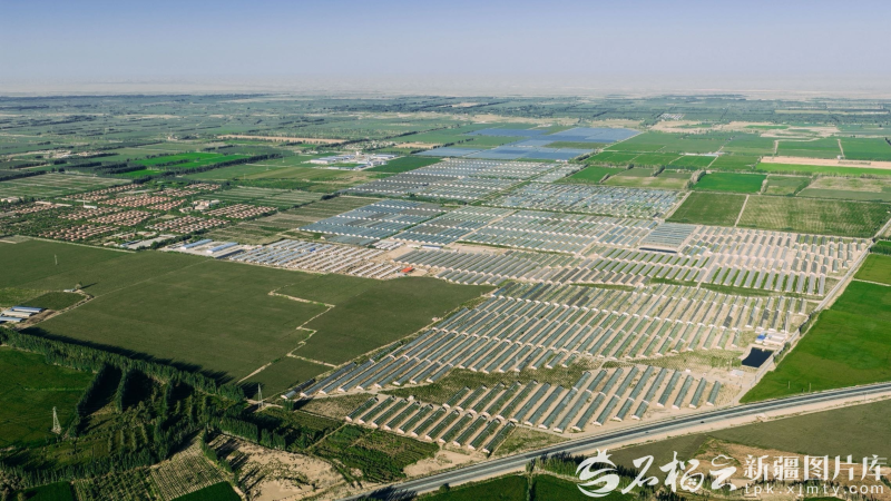 8月24日，叶城县阿克塔什镇设施农业基地航拍图。郑淏天 摄