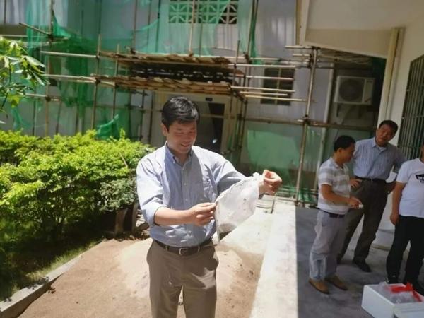 程功教授检查野外采集的蚊虫。受访者供图