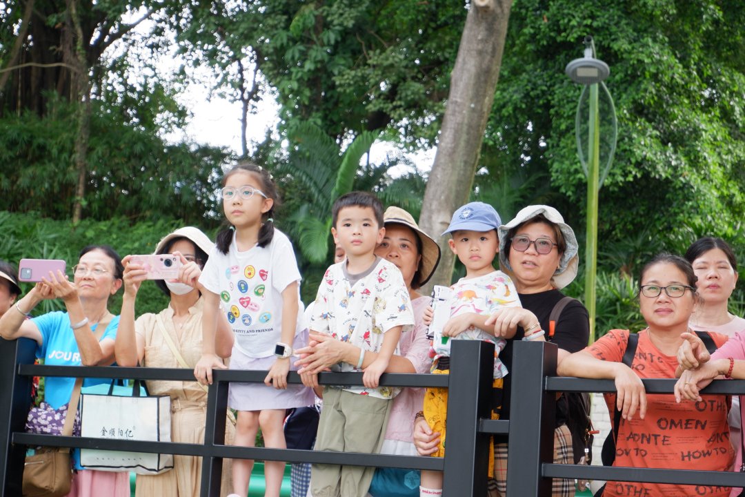 9月5日，广东广州，橙马麓湖水上活动中心，观众热情观看龙舟比赛。甄西子/摄