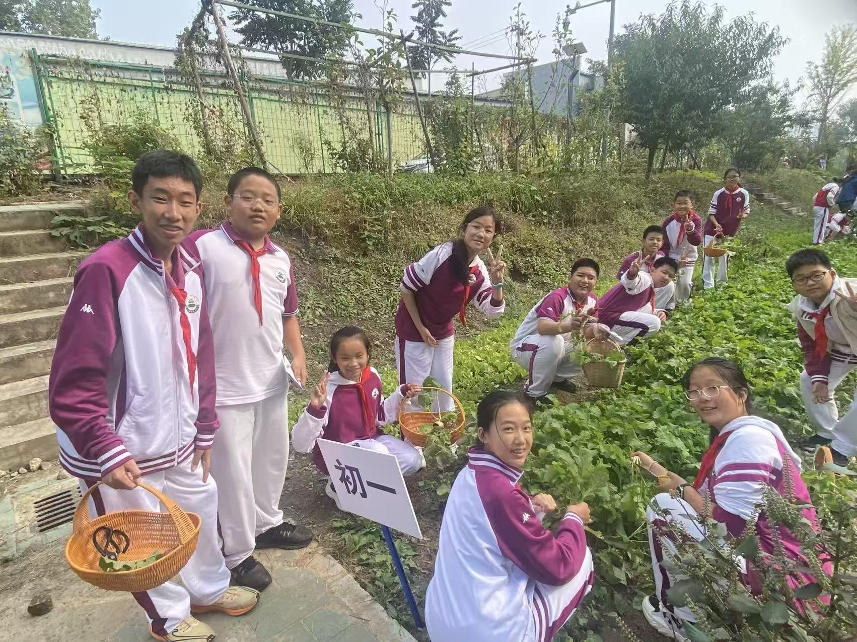北京市第二十中学学生利用午休时间开展生物实践活动。学校供图