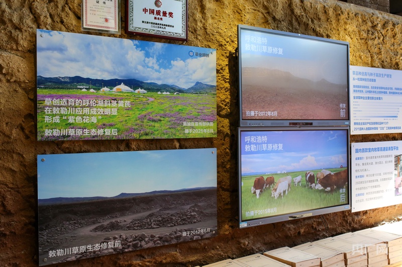 敕勒川草原修复前后对比展示（央广网记者 杨亚东 摄）
