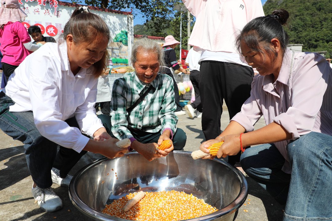 9月19日，贵州省册亨县冗渡镇冗贝村举办丰收节活动，人们参加徒手剥玉米比赛。叶方杰/摄