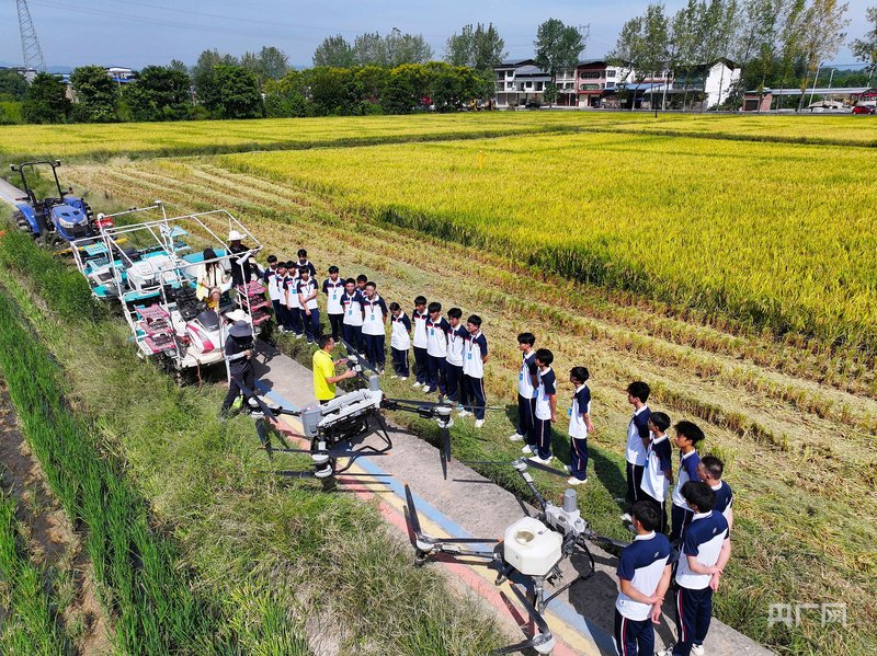 重庆：无人驾驶收割机助力水稻收割