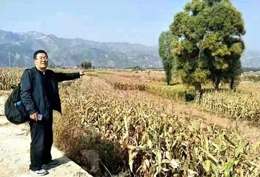 崔玉岐来到山西吕梁寻找三叔崔海治烈士墓地，眼前是一片农田。受访者 供图