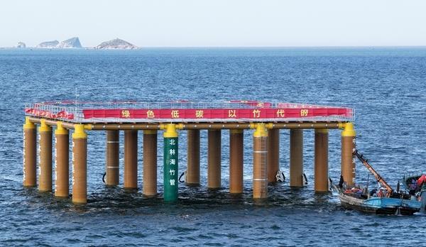 全球首个百千瓦级木竹基海上光伏平台“集林二号”。受访者供图