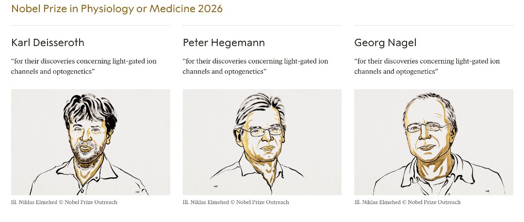 2026年诺贝尔生理学或医学奖。图片来自诺贝尔奖官网