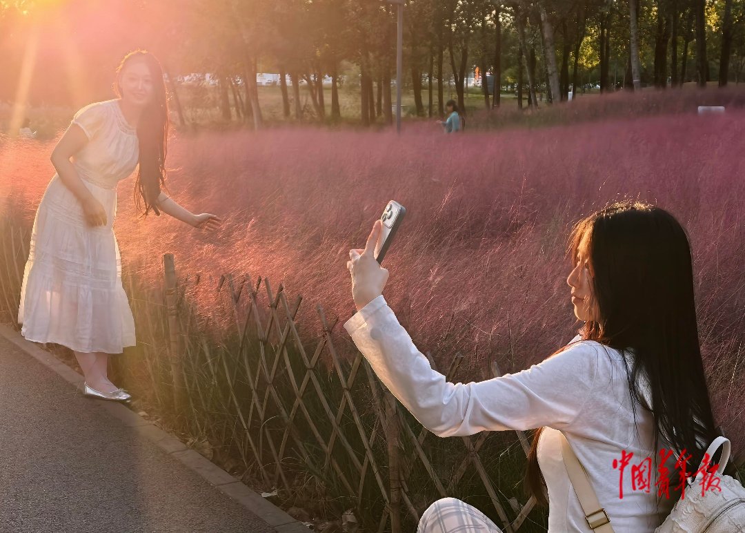 10月6日，北京，奥北森林公园二期，两位女青年伴着夕阳在“粉黛花海”边拍照打卡。时下正值北京金秋，粉黛乱子草迎来最佳观赏期，如烟似雾的花穗随风翻涌成粉红色或紫色的草浪，铺展开一片梦幻的画卷，成为市民和游客纷至沓来的网红打卡处。奥北森林公园地处北京中轴线北延长线上，南边紧挨奥森公园，东西两侧分别是超大型社区天通苑和回龙观。国庆长假期间，公园与文商旅体结合，把生态空间用于公共文化活动，带动假期文旅消费。有数据显示，奥北森林公园二期日均接待游客超5000人次，周末及节假日活动高峰时单日可达数万人次，已成为周边居民休闲首选。中青报·中青网记者 陈剑/摄