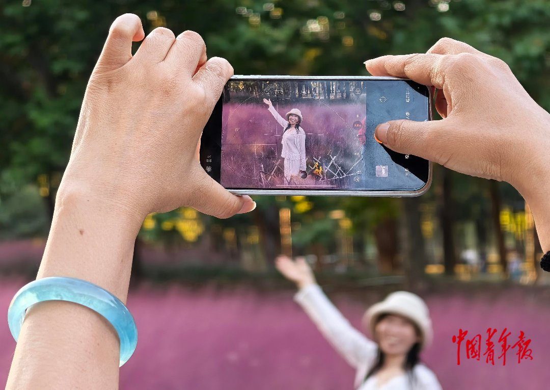 10月6日，北京，奥北森林公园二期，“粉黛花海”边，一位女士正在拍照。中青报·中青网记者 陈剑/摄