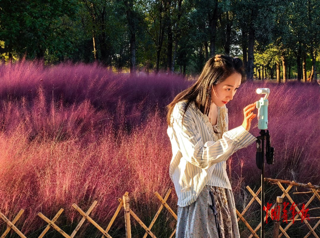 10月6日，北京，奥北森林公园二期，“粉黛花海”边，一位女青年正在操作口袋云台相机，准备拍摄Vlog。中青报·中青网记者 陈剑/摄