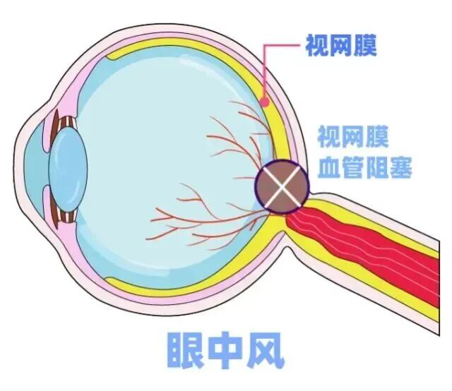 图源：科普中国