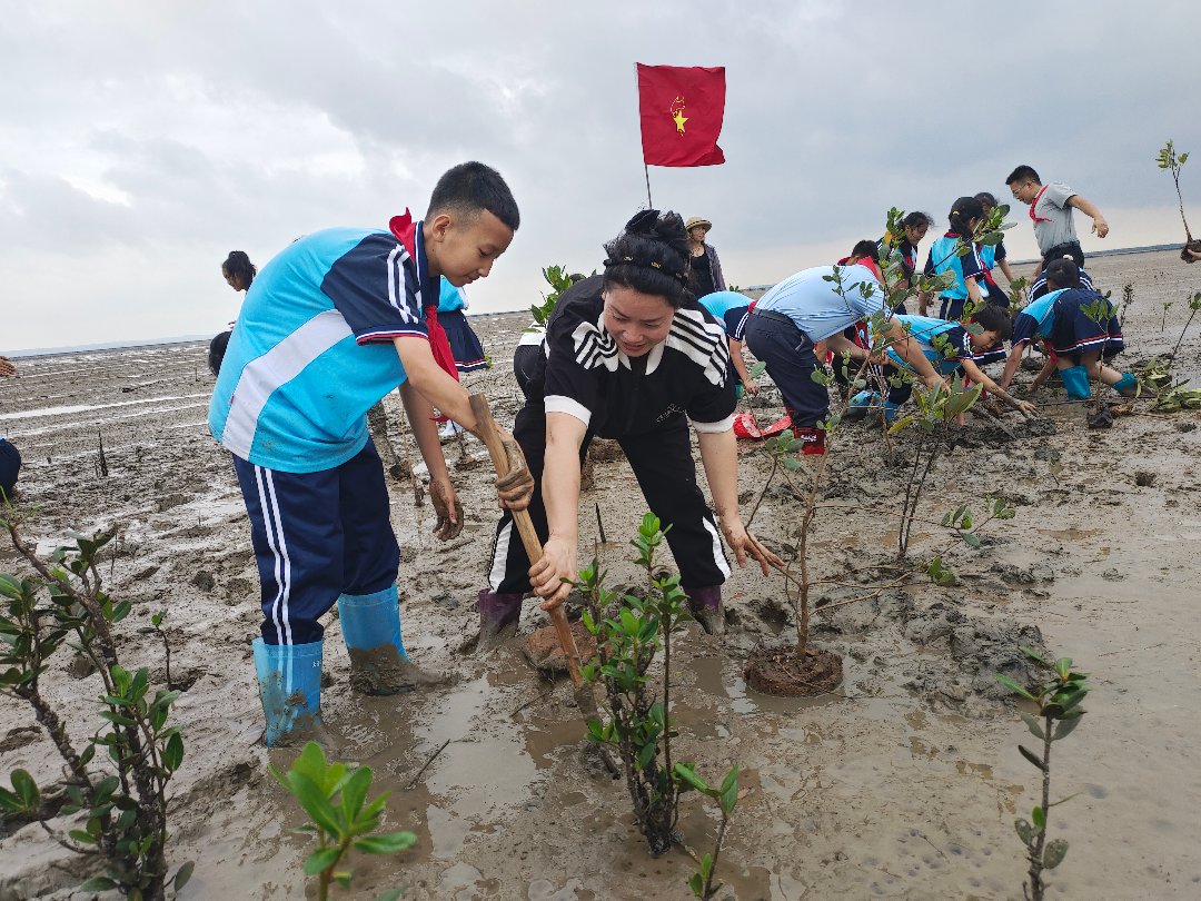 海上森林小卫士队员与家长一起种植红树幼苗。受访者供图