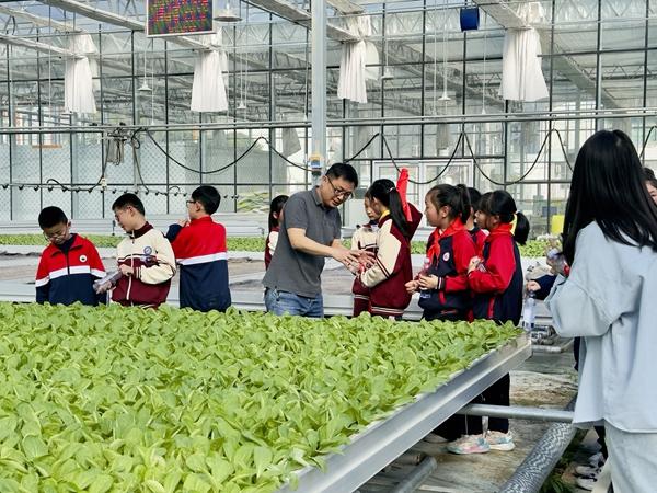 湖北省黄冈市英山县城西小学核心校区的学生们参加无土栽培科普研学活动。受访者供图