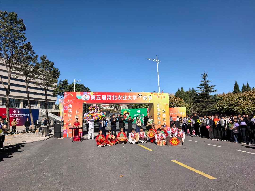 丰收节现场 朱洪园/摄