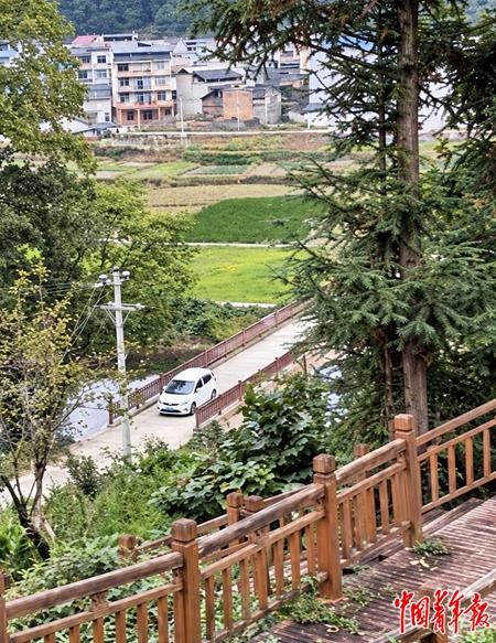 少寨村茶山上的步道连接了桂花台景区和新红军桥。站在步道上可以看到，新红军桥上不时有汽车驶过。中青报·中青网记者 李雅娟/摄